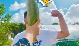 吃娱乐圈的瓜吃到饱,一网打尽明星秘闻，尽享八卦盛宴